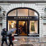 Award-winning brewery in Chapter 11 bankruptcy faces sale