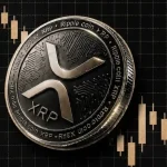 The Next Crypto Bull Run Will Be Slower—BitGo CEO Explains