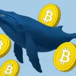 Cardano (ADA) Price Rally: Why ADA Is Rising and How High Can It Go?