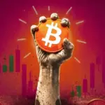 China opens formal probe into Palo Alto just as stock hits highs